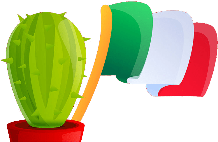 Cactus and Mexico Flag