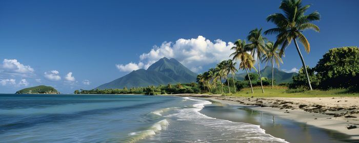 St Kitts and Nevis Bank Accounts: The Complete Guide