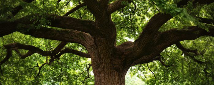 Spendthrift Trust: Pros and Cons, Tax Benefits, and How They Work