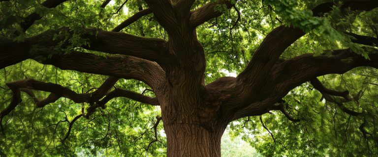 Concept art of an article about Spendthrift Trust: oak tree (AI Art)