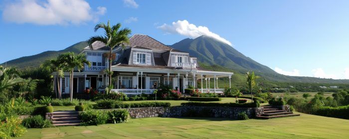 Nevis LLCs: Are they worth it?