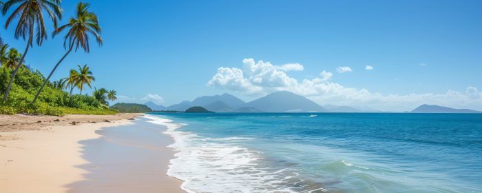 The Ultimate Guide to Nevis Trusts: Asset Protection, Privacy and Tax Benefits All in One