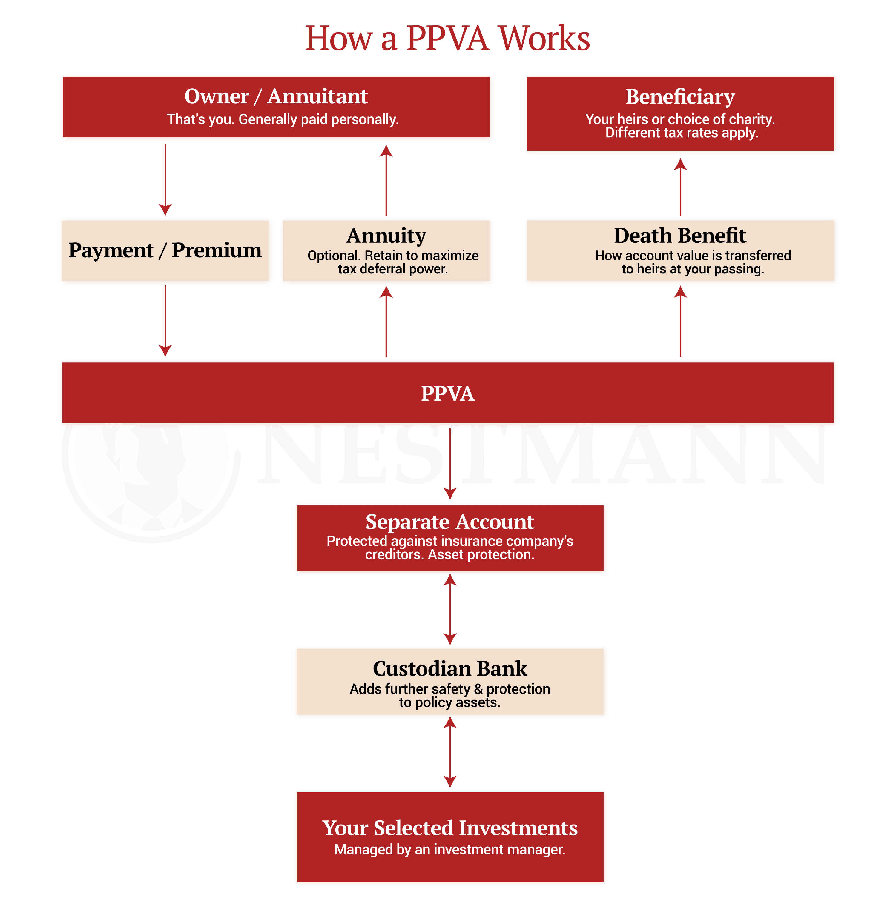 Private Placement Variable Annuities: How a PPVA Works