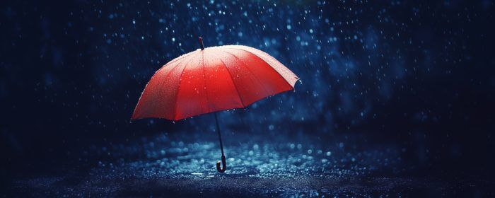 What Is an Umbrella Company? A Practical Guide for Asset Protection