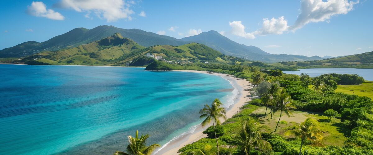 Concept art of an article about Nevis Asset Protection: sandy beach with palm trees in Nevis on a sunny day (AI Art)